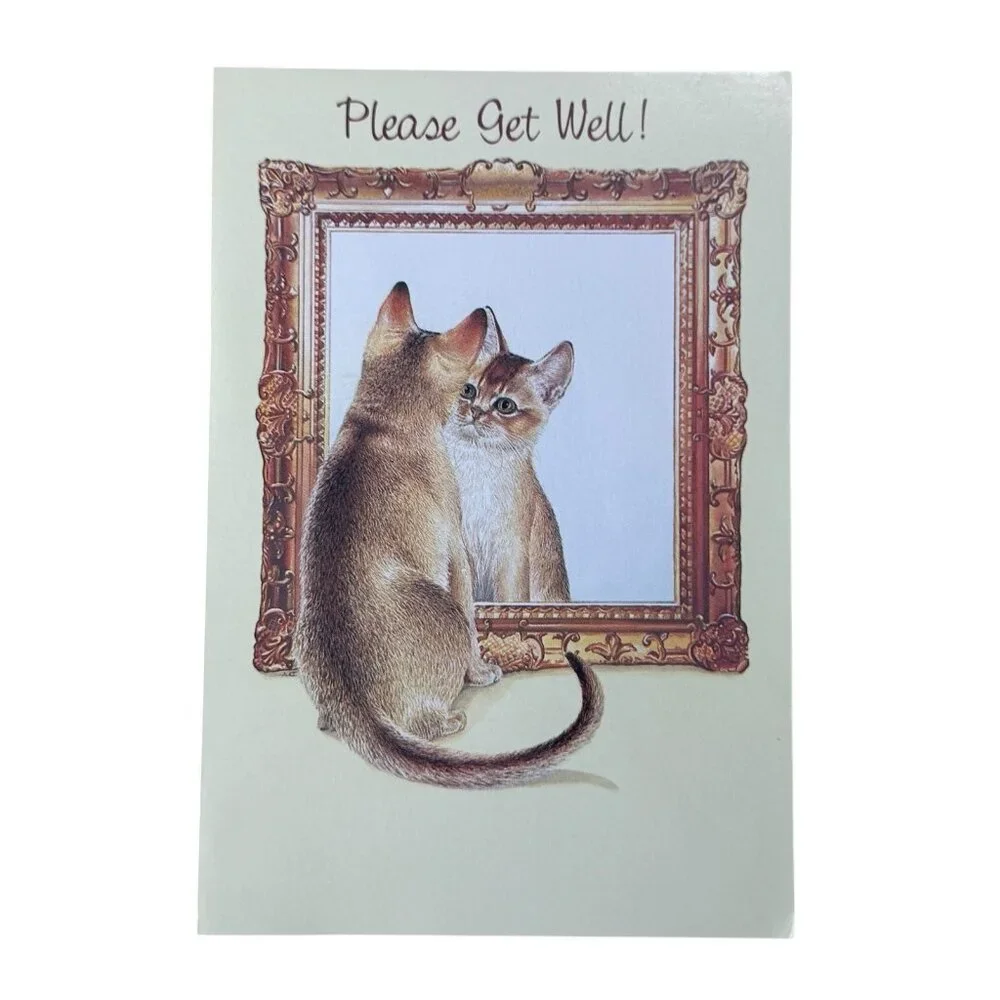 Kitten Cat Please Get‎ Well Soon Greeting Card Fantusy USA Made